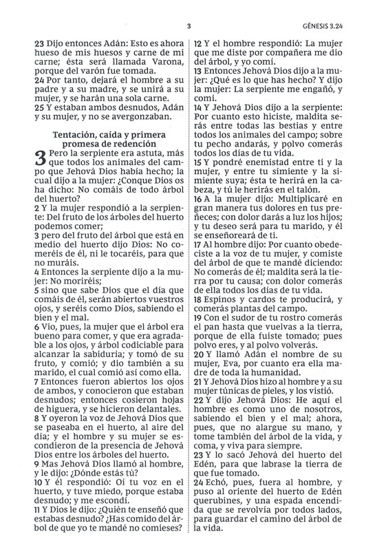 Biblia Reina Valera Revisada Letra Grande, Rústica - Imagen 5
