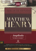 RVR Biblia Estudio Matthew Henry - Piel Especial - Café - Index