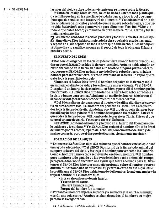 NBLA Santa Biblia Edición Artística, Tapa Dura - Tela - Imagen 5