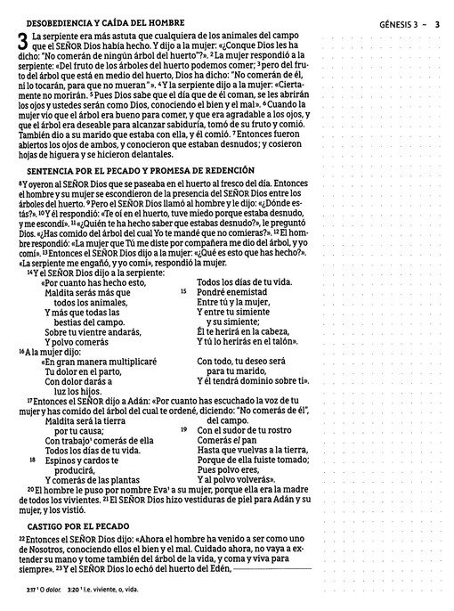 NBLA Santa Biblia Edición Artística, Tapa Dura - Tela - Imagen 6
