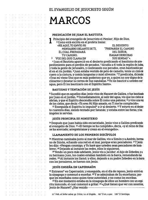 NBLA Santa Biblia Edición Artística, Tapa Dura - Tela - Imagen 7