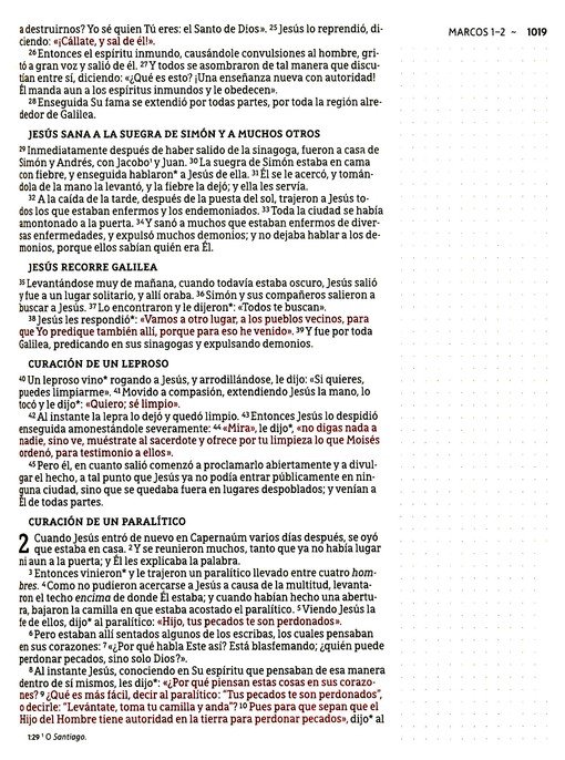 NBLA Santa Biblia Edición Artística, Tapa Dura - Tela - Imagen 8