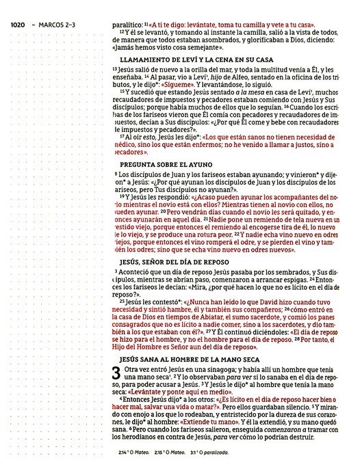 NBLA Santa Biblia Edición Artística, Tapa Dura - Tela - Imagen 9