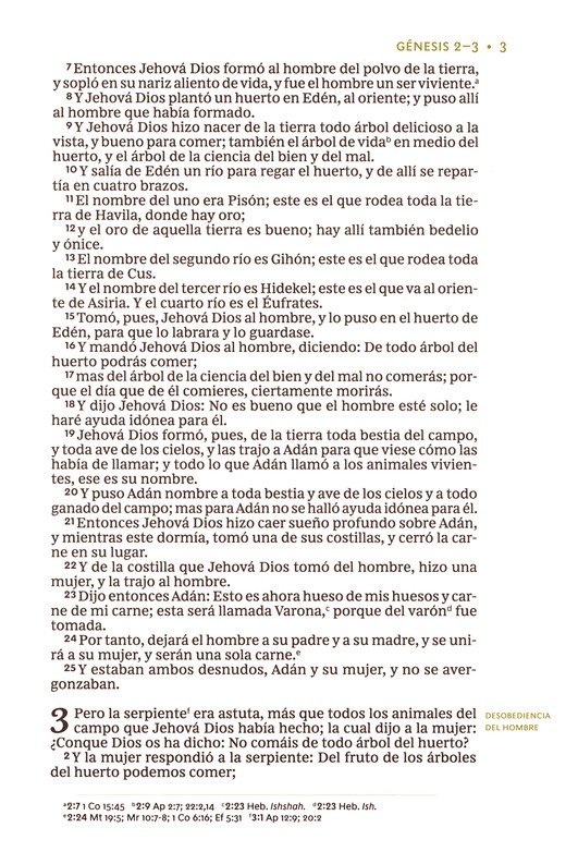 RVR60 Biblia Mi Legado, Imitación Piel , Café, Una Columna, Interior a Dos Colores - Imagen 6
