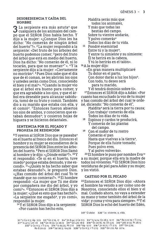 NBLA Biblia Ultrafina, Colección Premier, Azul Marino - Imagen 7