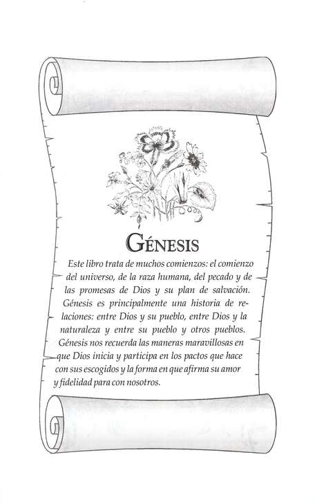 NVI Devocional Para La Mujer - Tapa Blanda - Imagen 5