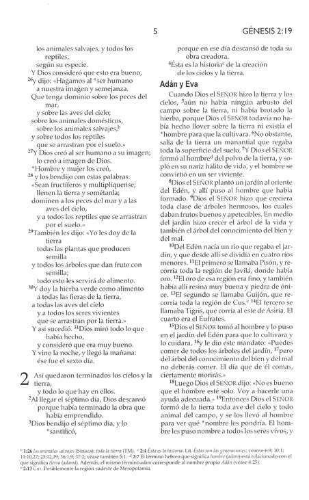 NVI Devocional Para La Mujer - Tapa Blanda - Imagen 8
