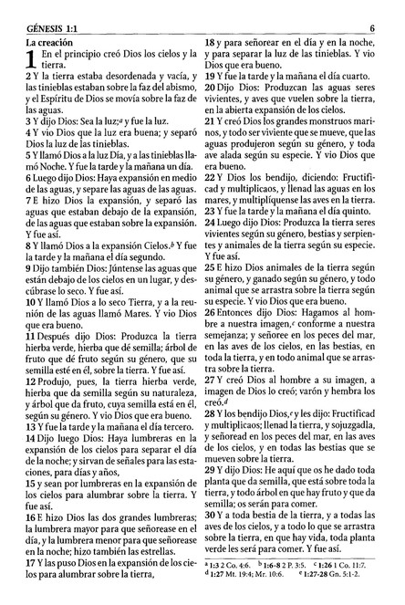 Biblia de Estudio RVR 1960 Serie 50, Imitación Piel Duo Tono Rosado - Imagen 4
