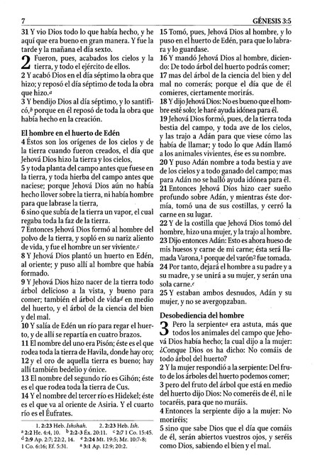 Biblia de Estudio RVR 1960 Serie 50, Imitación Piel Duo Tono Rosado - Imagen 5