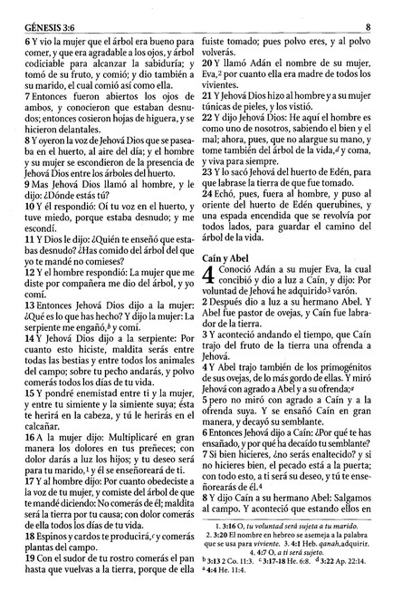 Biblia de Estudio RVR 1960 Serie 50, Imitación Piel Duo Tono Rosado - Imagen 6