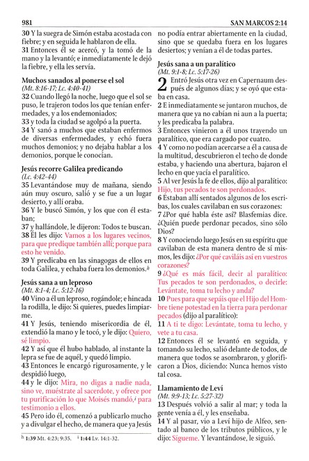 Biblia de Estudio RVR 1960 Serie 50, Imitación Piel Duo Tono Rosado - Imagen 8