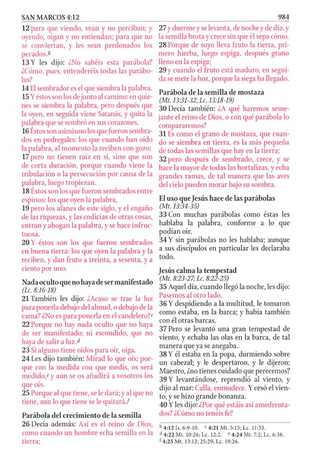 Biblia de Estudio RVR 1960 Serie 50, Imitación Piel Duo Tono Rosado - Imagen 9