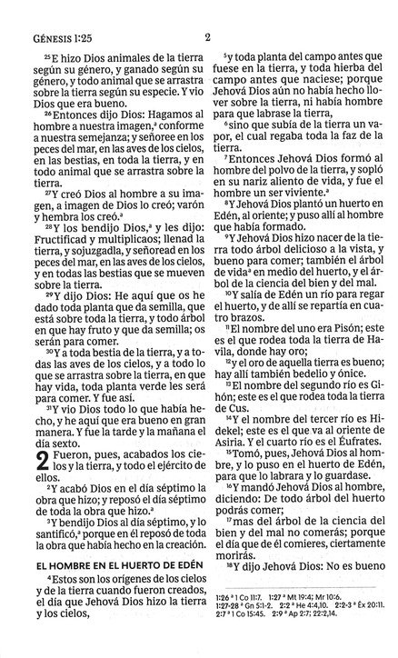RVR60 Santa Biblia, Letra Grande, Tapa Dura - La Cruz - Imagen 5