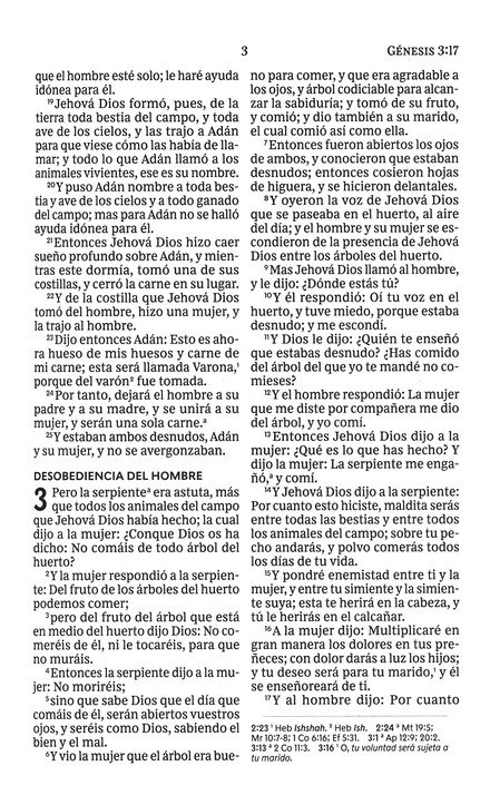 RVR60 Santa Biblia, Letra Grande, Tapa Dura - La Cruz - Imagen 6