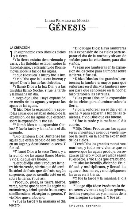 RVR60 Santa Biblia, Letra Grande, Tapa Dura - El León - Imagen 3