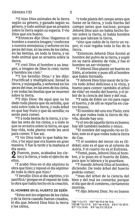 RVR60 Santa Biblia, Letra Grande, Tapa Dura - El León - Imagen 4