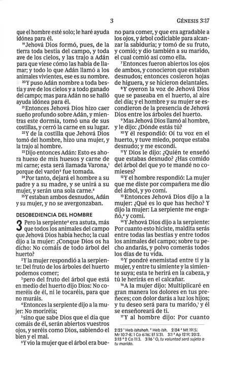 RVR60 Santa Biblia, Letra Grande, Tapa Dura - El León - Imagen 5
