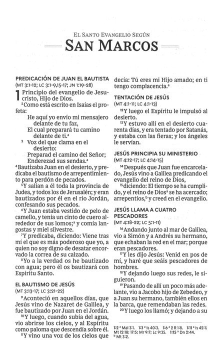 RVR60 Santa Biblia, Letra Grande, Tapa Dura - El León - Imagen 6