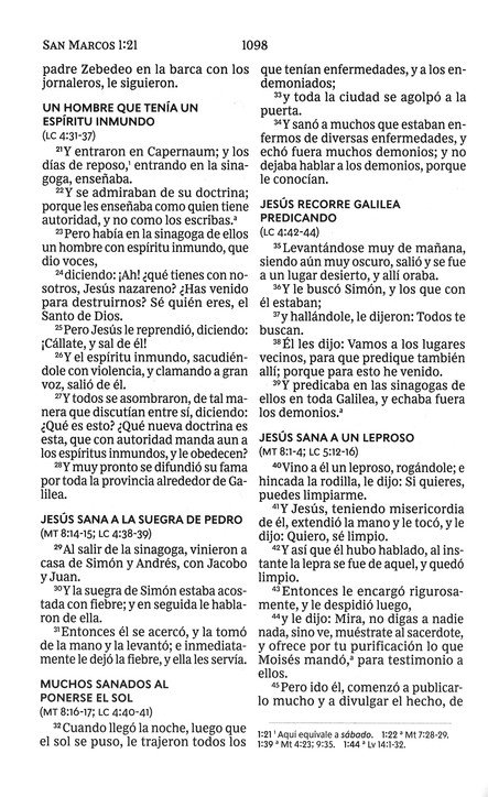 RVR60 Santa Biblia, Letra Grande, Tapa Dura - El León - Imagen 7