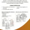 RVR60 Santa Biblia, Letra Grande, Tapa Dura - El León - Imagen 9