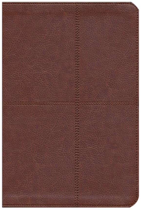 Biblia Bilingüe RVR60 / NIV - Imitación Piel - Dúo Marrón - Imagen 3