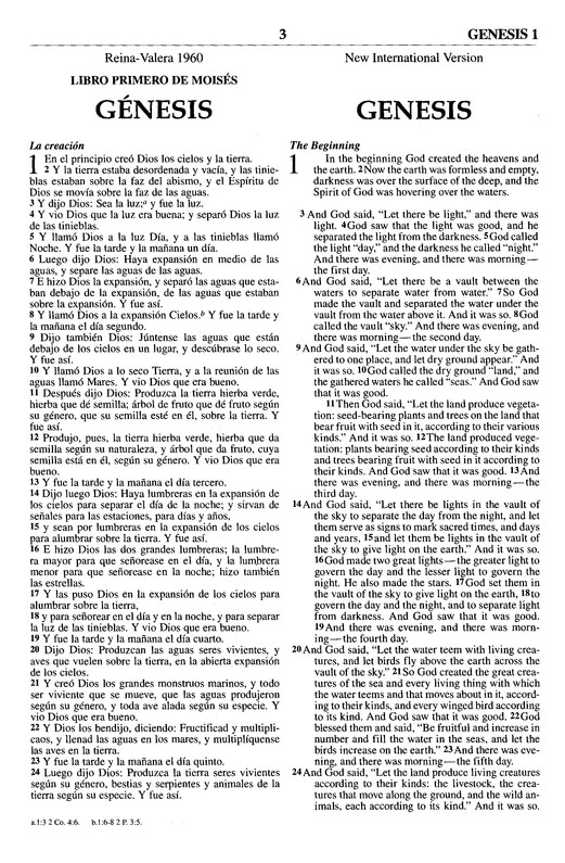 Biblia Bilingüe RVR60 / NIV - Imitación Piel - Dúo Marrón - Imagen 4