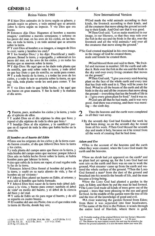 Biblia Bilingüe RVR60 / NIV - Imitación Piel - Dúo Marrón - Imagen 5