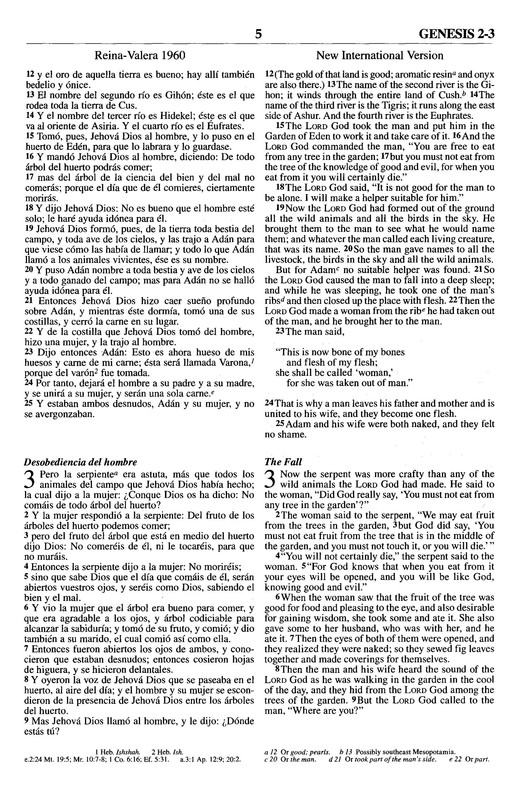 Biblia Bilingüe RVR60 / NIV - Imitación Piel - Dúo Marrón - Imagen 6