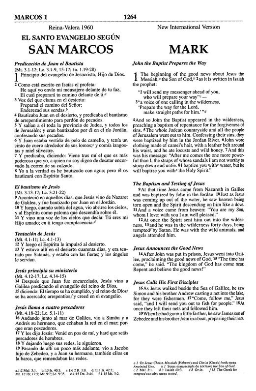 Biblia Bilingüe RVR60 / NIV - Imitación Piel - Dúo Marrón - Imagen 7