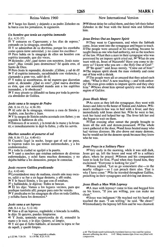 Biblia Bilingüe RVR60 / NIV - Imitación Piel - Dúo Marrón - Imagen 8