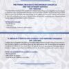 Biblia Bilingüe RVR60 / NIV - Imitación Piel - Dúo Marrón - Imagen 10