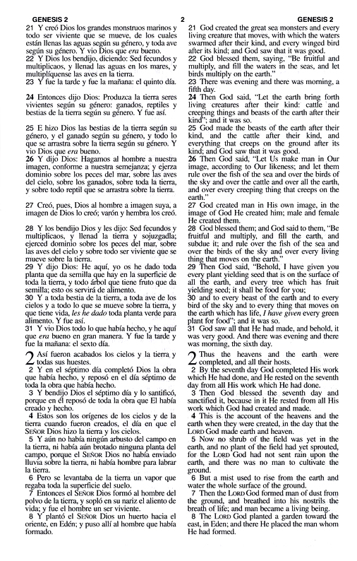 LBLA/NASB Biblia Bilingüe Imitación Piel Café - Imagen 5