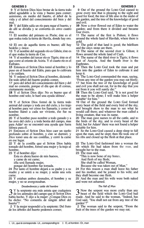 LBLA/NASB Biblia Bilingüe Imitación Piel Café - Imagen 6