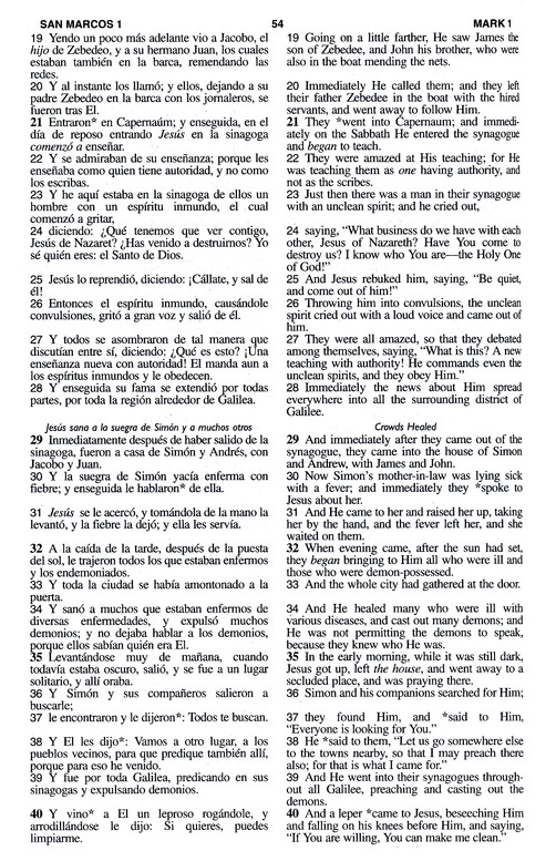 LBLA/NASB Biblia Bilingüe Imitación Piel Café - Imagen 8