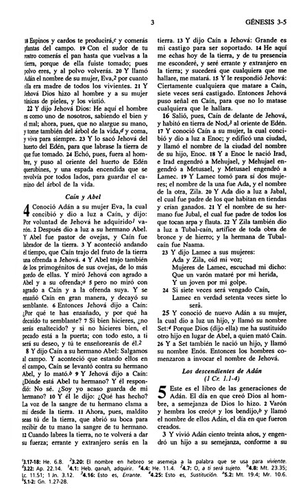 Biblia del Ministro RVR 1960 - Ultrafina - Imitación Piel Negra - Imagen 6