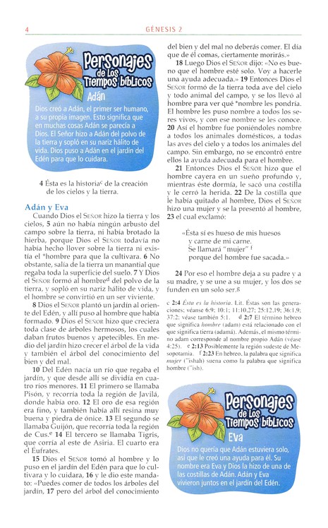 Biblia Aventura NVI, Tapa Dura - Imagen 6