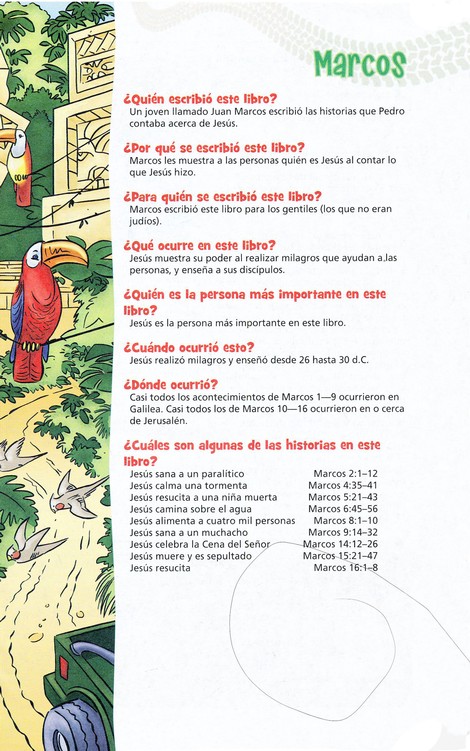 Biblia Aventura NVI, Tapa Dura - Imagen 7