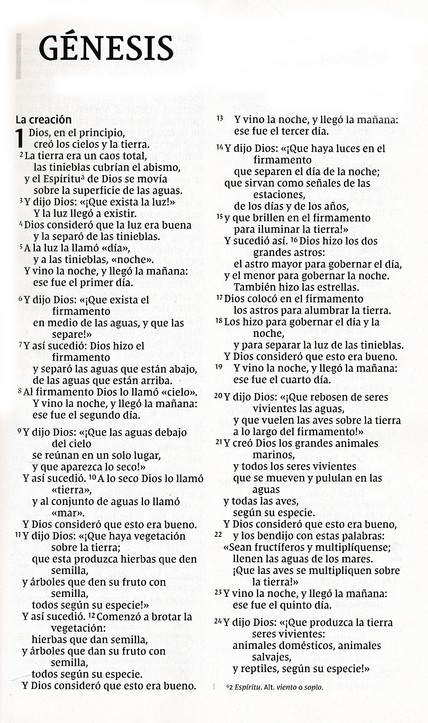NVI Biblia Letra Grande - Edición Económica - Tapa Blanda - Imagen 3