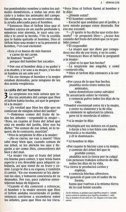 NVI Biblia Letra Grande - Edición Económica - Tapa Blanda - Imagen 5