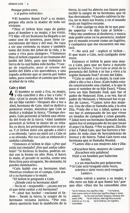 NVI Biblia Letra Grande - Edición Económica - Tapa Blanda - Imagen 6