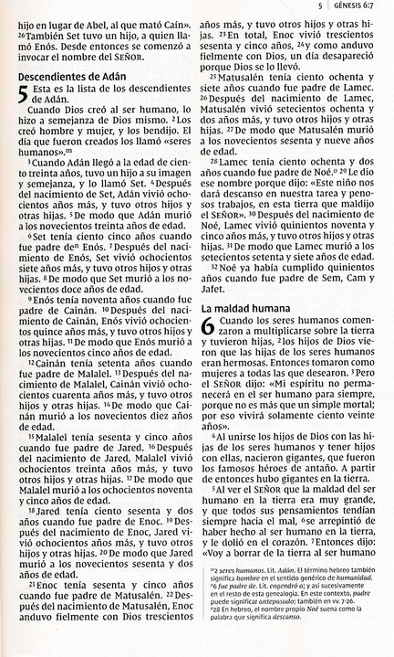 NVI Biblia Letra Grande - Edición Económica - Tapa Blanda - Imagen 7