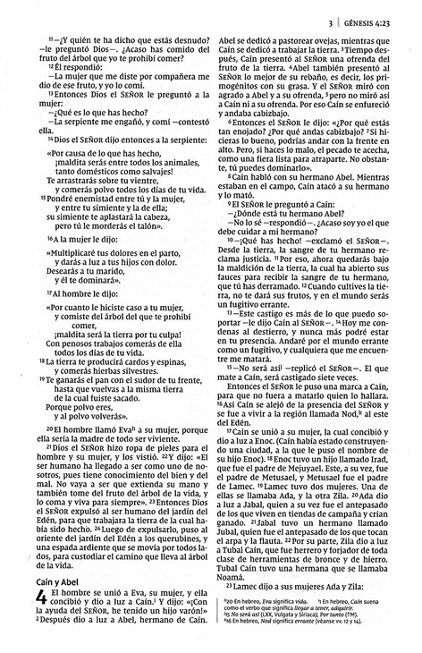 NVI Biblia Edición Misionera Círculos - Tapa Blanda - Imagen 5