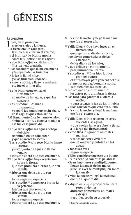 NVI Biblia Letra Grande - Imitación Piel Duo Tono - Café - Imagen 4