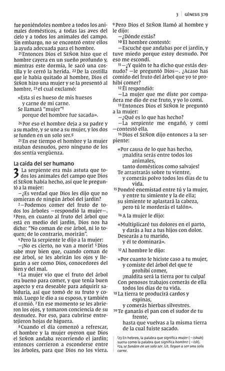 NVI Biblia Letra Grande - Imitación Piel Duo Tono - Café - Imagen 6