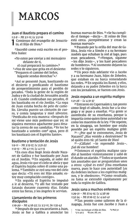 NVI Biblia Letra Grande - Imitación Piel Duo Tono - Café - Imagen 7