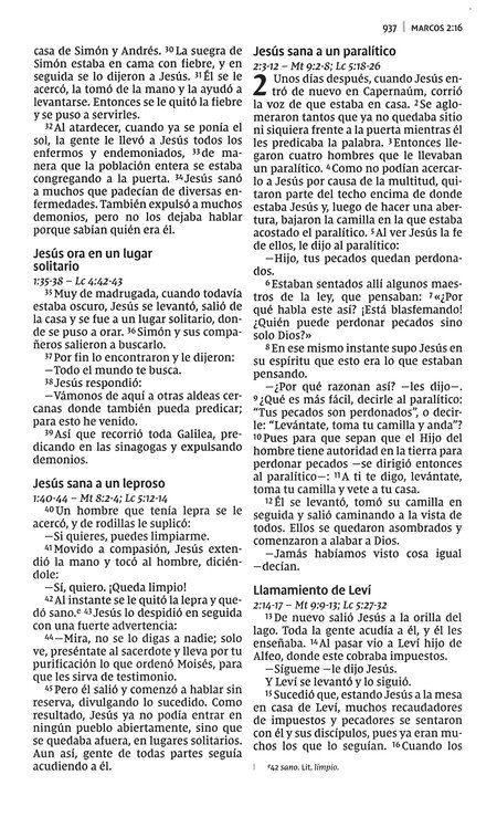 NVI Biblia Letra Grande - Imitación Piel Duo Tono - Café - Imagen 8