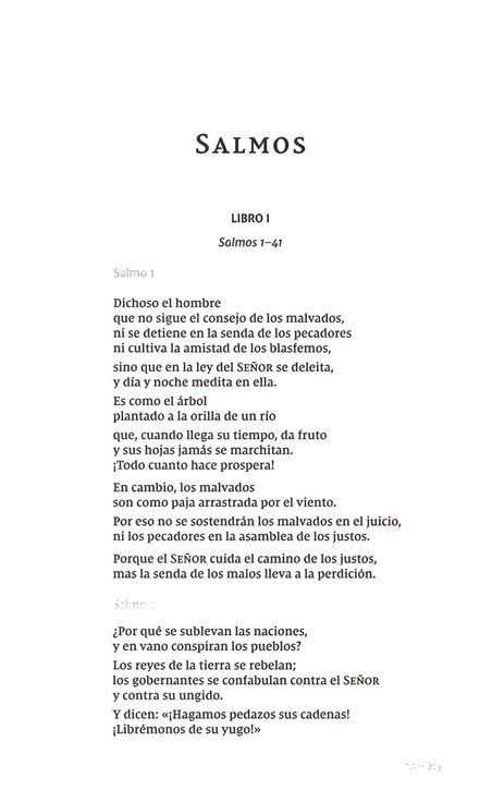 NVI, Los Libros de la Biblia: Los Escritos - Tapa Blanda - Imagen 3