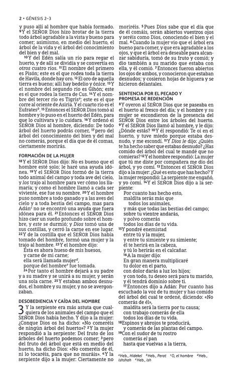 LBLA Santa Biblia Ultrafina Imitación Piel Negro - Imagen 6
