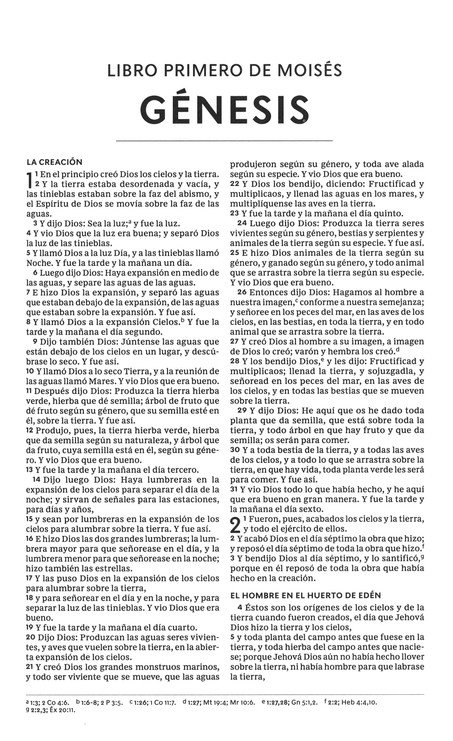 RVR60 Biblia del Nuevo Creyente "Todo Nuevo" - Imitación Piel - Imagen 4