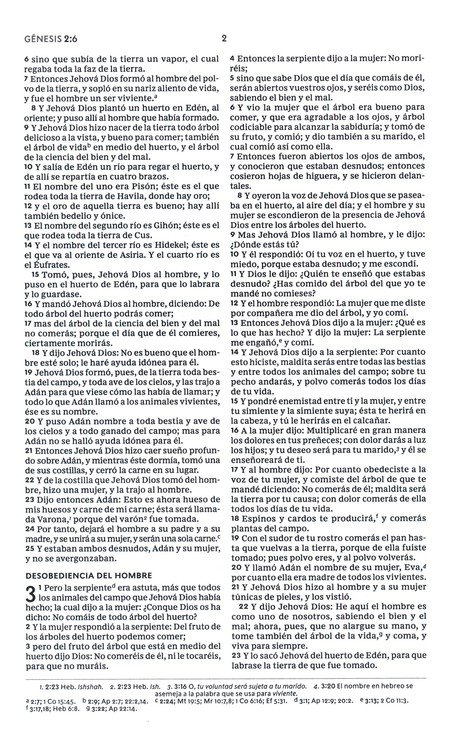 RVR60 Biblia del Nuevo Creyente "Todo Nuevo" - Imitación Piel - Imagen 5